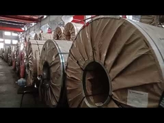 ผนังปกคลุมแปรง #4 24 กว้าง 0.024 